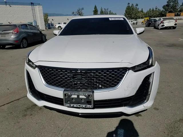 2021 Cadillac Ct5 Premium Luxury VIN: 1G6DN5RW3M0146263 Lot: 81995595