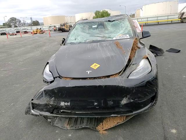 2024 Tesla Model Y VIN: 7SAYGDEE6RF150710 Lot: 87463575