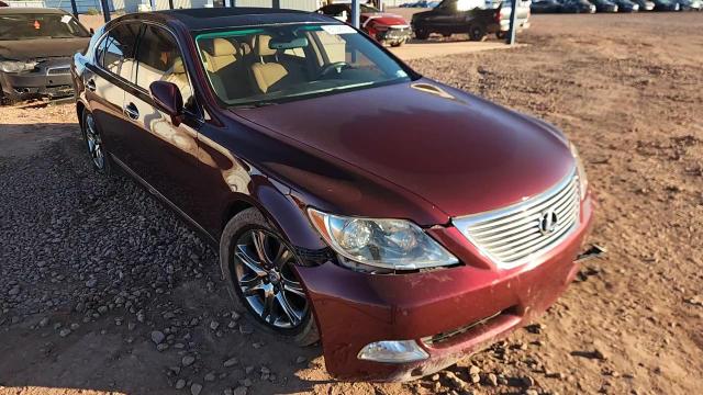 2009 Lexus Ls 460 VIN: JTHBL46F295089250 Lot: 87098595