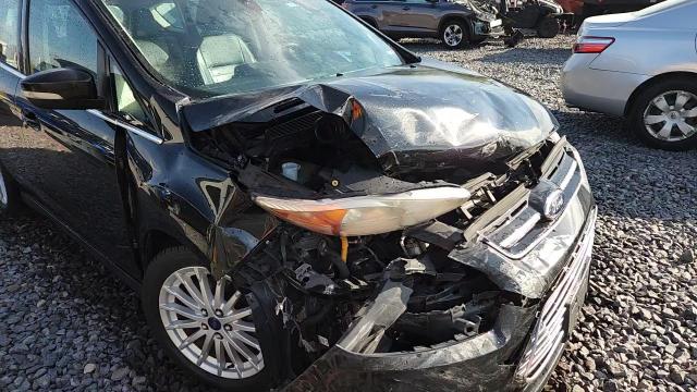 2015 Ford C-Max Premium Sel VIN: 1FADP5CU5FL100245 Lot: 85163585