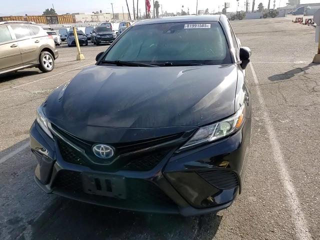 2020 Toyota Camry Se VIN: 4T1G31AK6LU533572 Lot: 81991585