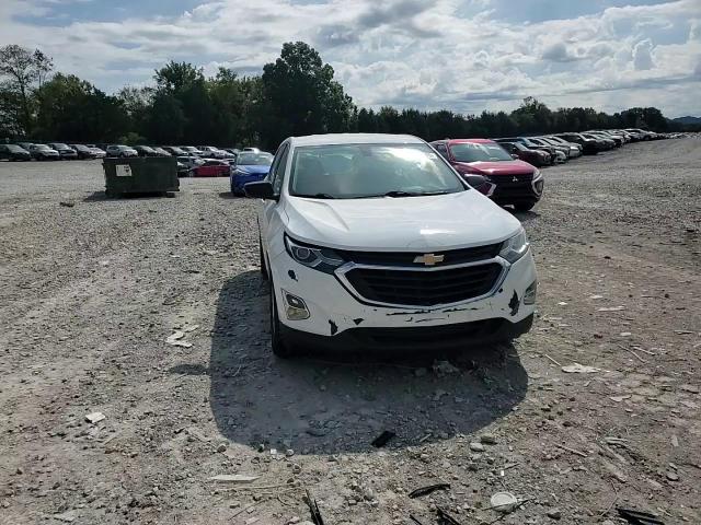 2019 Chevrolet Equinox Ls VIN: 2GNAXHEVXK6175943 Lot: 85830765