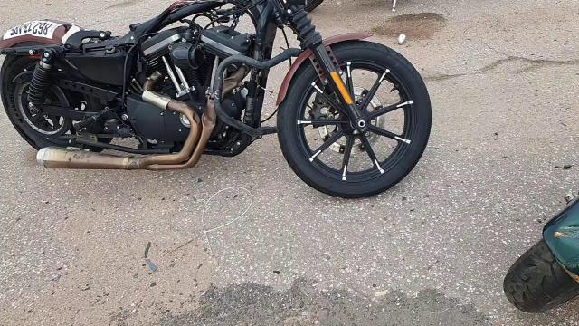 2017 Harley-Davidson Xl883 Iron 883 VIN: 1HD4LE210HC438795 Lot: 86218485