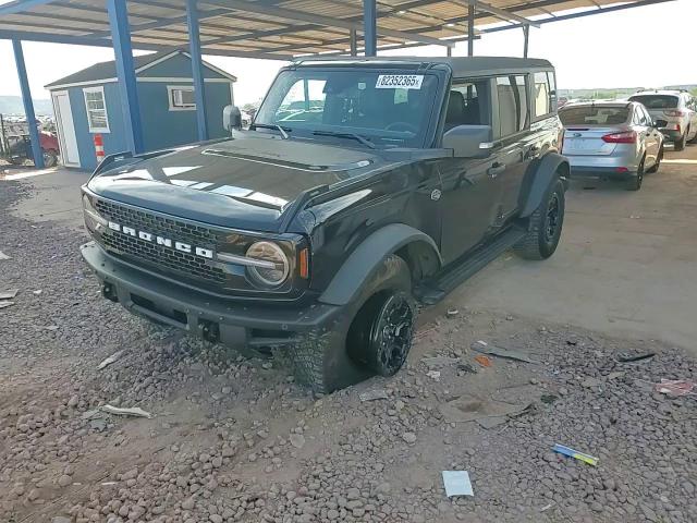 2024 Ford Bronco Wildtrak VIN: 1FMEE2BP8RLA25197 Lot: 82352365