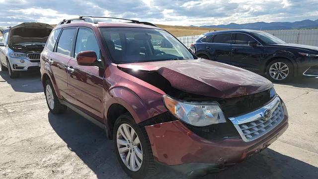 2013 Subaru Forester 2.5X Premium VIN: JF2SHADC4DH429940 Lot: 81997355
