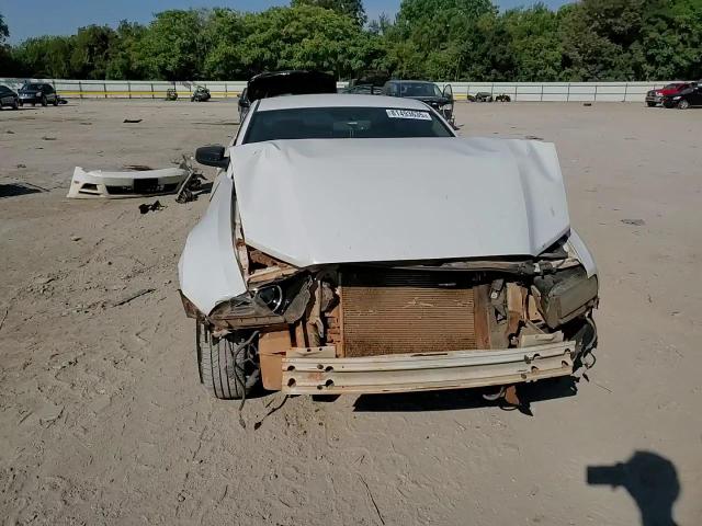 2014 Ford Mustang VIN: 1ZVBP8AM1E5328989 Lot: 81493635