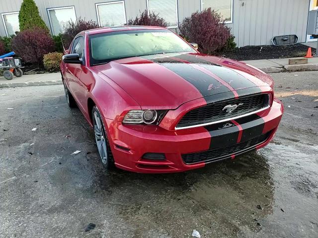 2013 Ford Mustang VIN: 1ZVBP8AM5D5274482 Lot: 90284225