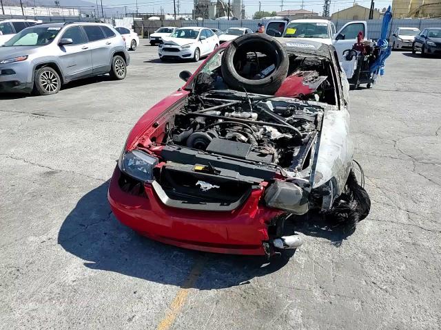 1999 Ford Mustang Gt VIN: 1FAFP42X9XF142531 Lot: 81993385