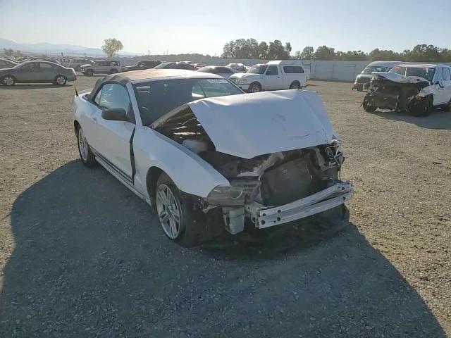 2013 Ford Mustang VIN: 1ZVBP8EM2D5229705 Lot: 82264575