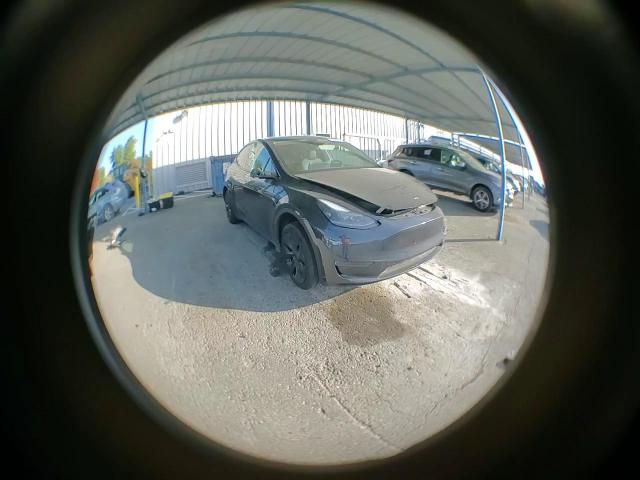 2024 Tesla Model Y VIN: 7SAYGDEDXRF209412 Lot: 87365635