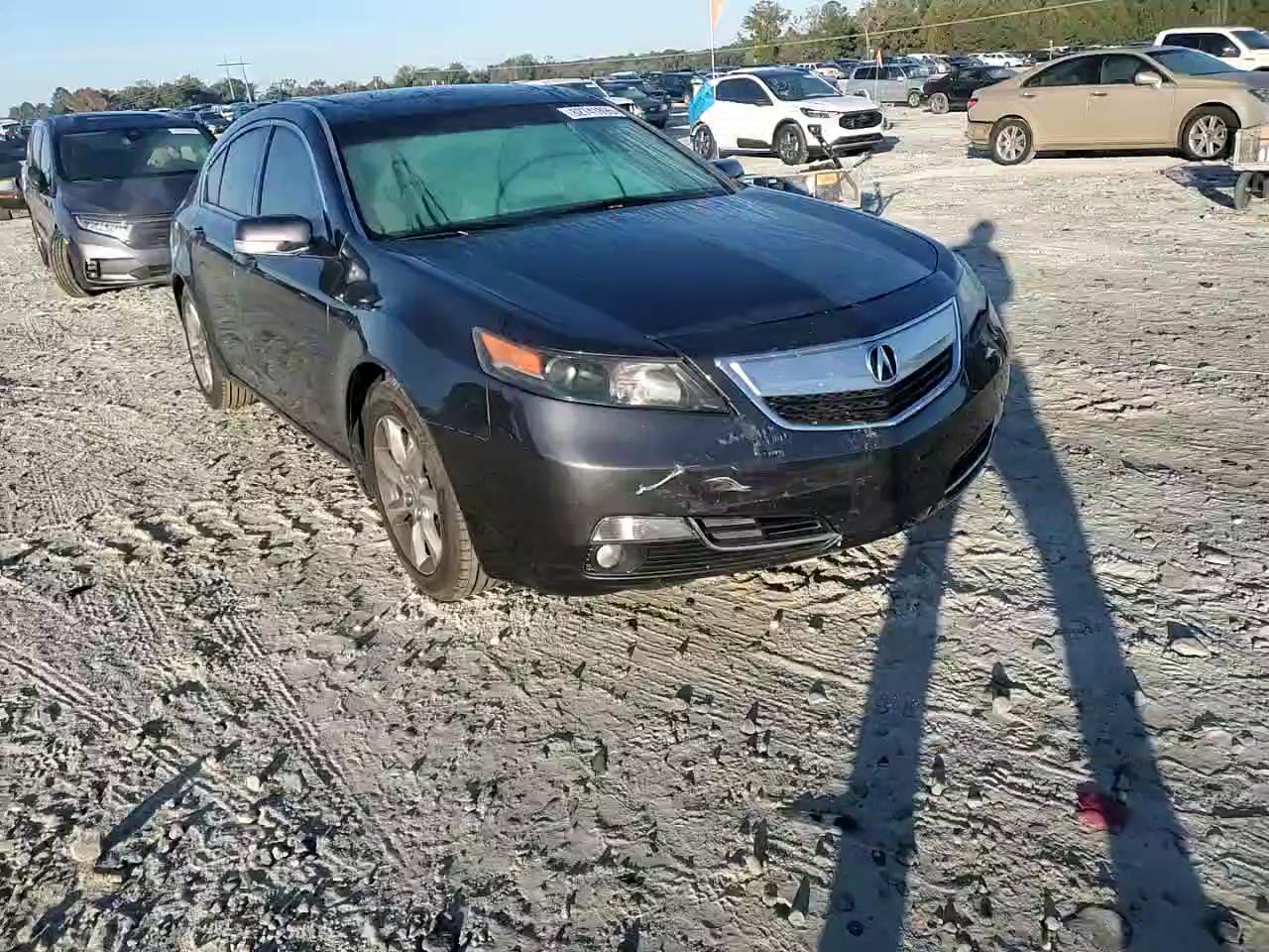 Фото: 19UUA8F54DA001699