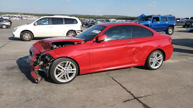 2017 BMW 230I VIN: WBA2F9C36HV983957 Lot: 81933785