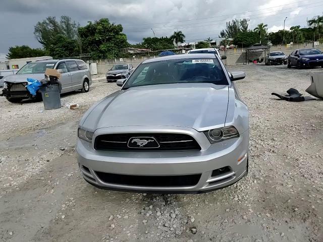 2014 Ford Mustang VIN: 1ZVBP8AM9E5253703 Lot: 86166665