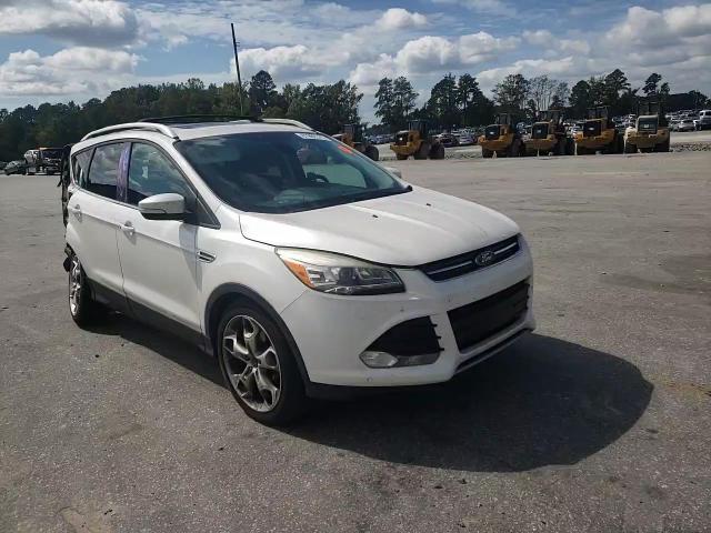 2014 Ford Escape Titanium VIN: 1FMCU0J95EUA75318 Lot: 81992375