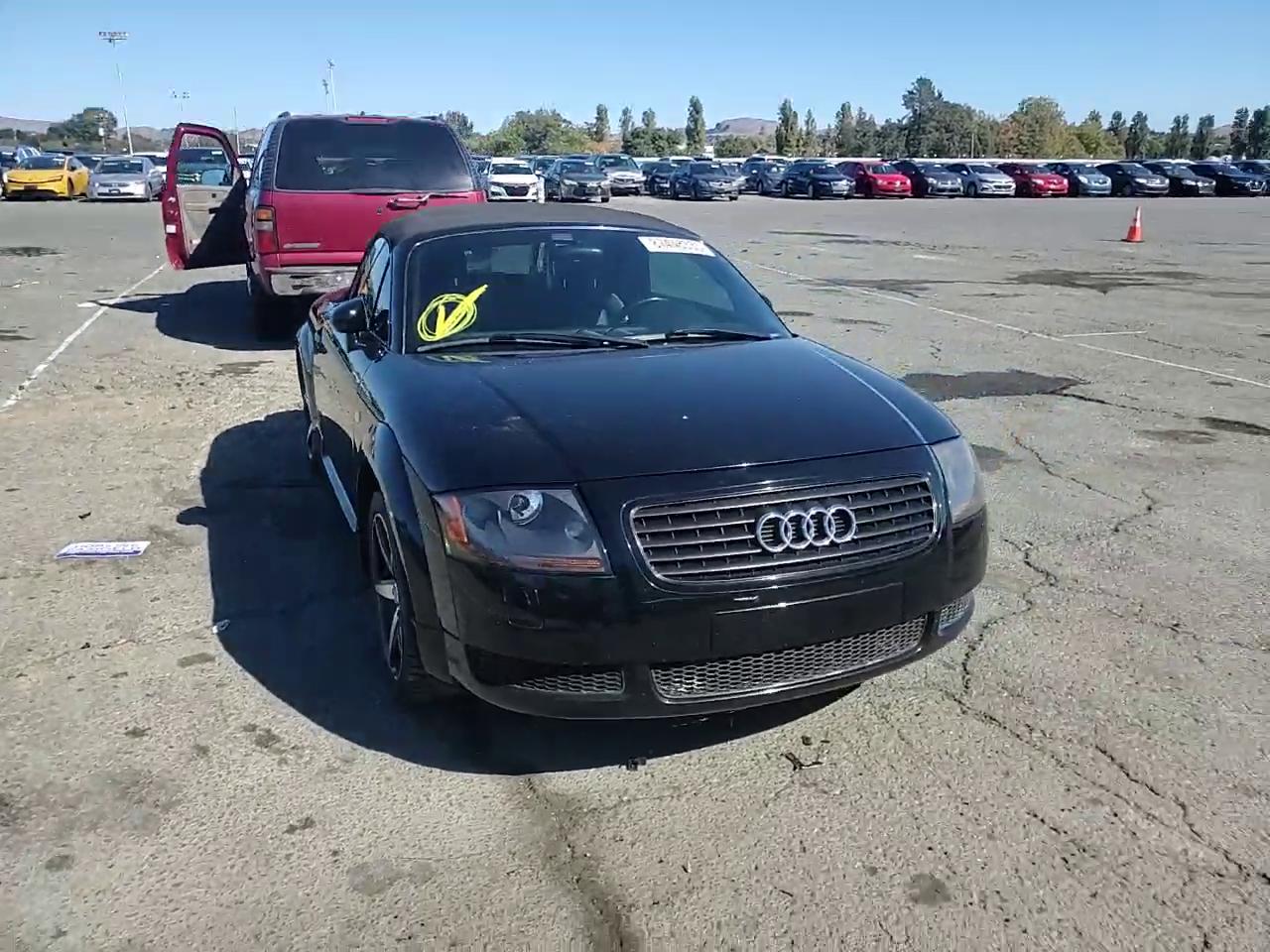 Фото: TRUUT28N311037162