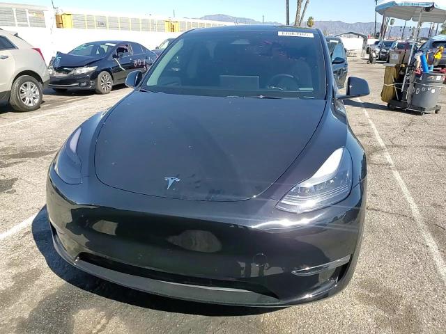 2024 Tesla Model Y VIN: 7SAYGDEF5RF064412 Lot: 87083965