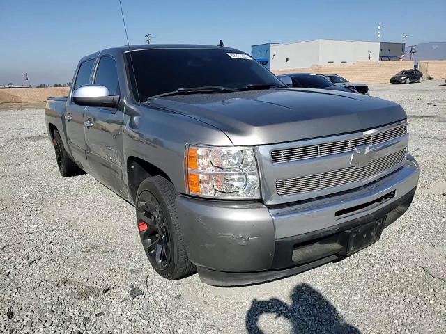 2009 Chevrolet Silverado C1500 VIN: 3GCEC13C99G217404 Lot: 82282295