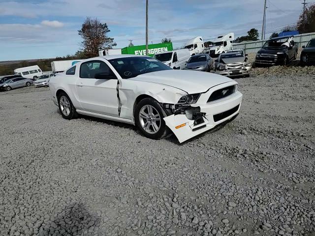 2013 Ford Mustang VIN: 1ZVBP8AM5D5220325 Lot: 90522355