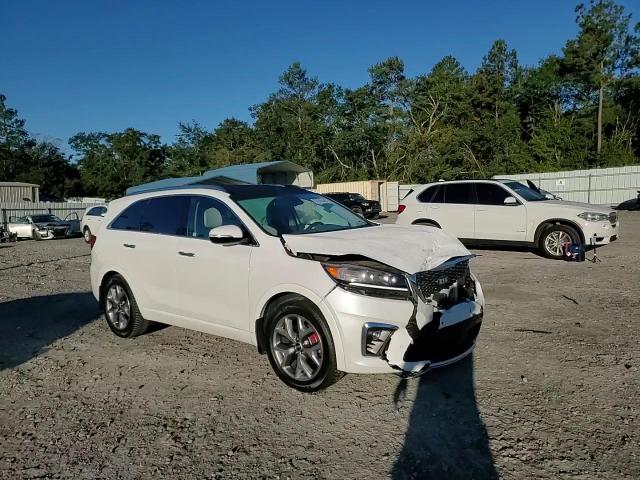 2019 Kia Sorento Sx VIN: 5XYPK4A54KG456686 Lot: 86245445