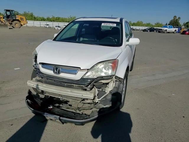 2009 Honda Cr-V Exl VIN: 5J6RE38739L026299 Lot: 85846795