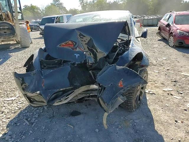 2023 Tesla Model Y VIN: 7SAYGDEE6PA213542 Lot: 84751675