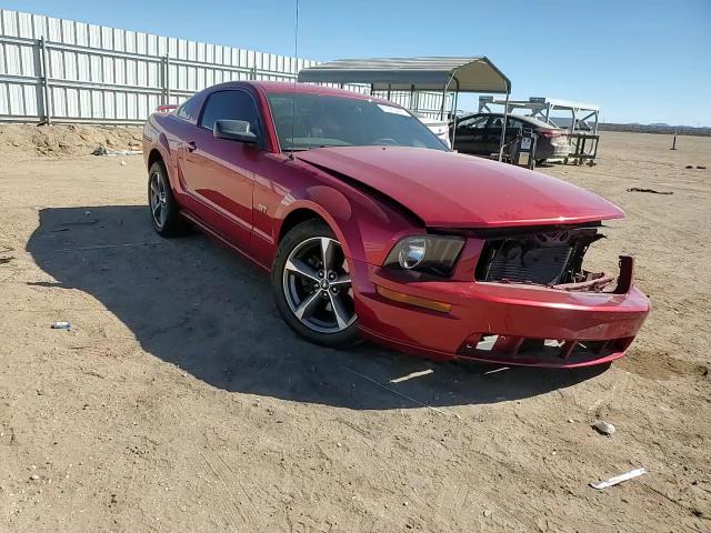 2006 Ford Mustang Gt VIN: 1ZVHT82H365123280 Lot: 81955495
