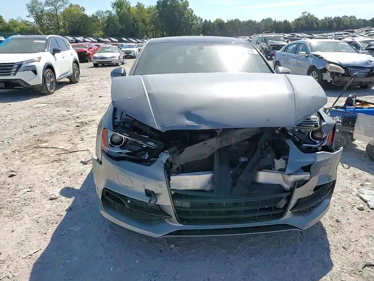 Фото: WAUA7GFF6G1071094