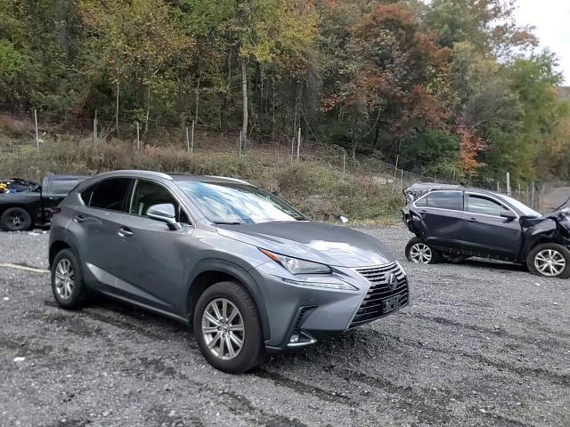 2020 Lexus Nx 300 VIN: JTJDARDZ5L2226374 Lot: 87291525