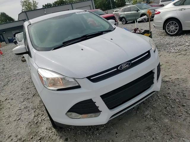 2014 Ford Escape Se VIN: 1FMCU9GX4EUD32222 Lot: 84791975