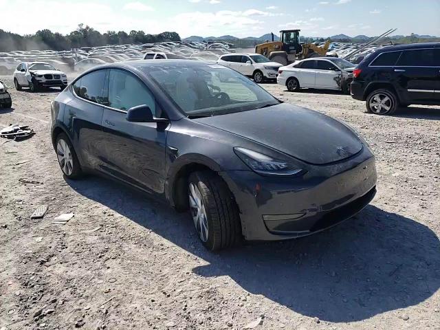 2022 Tesla Model Y VIN: 7SAYGAEE7NF433884 Lot: 81684165