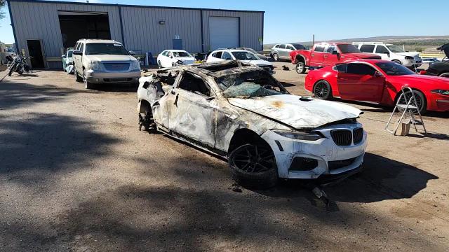 2016 BMW M235I VIN: WBA1J7C59GV359374 Lot: 87291155