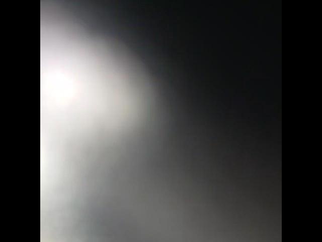 2009 Dodge Charger Srt-8 VIN: 2B3KA73W89H560244 Lot: 81943865