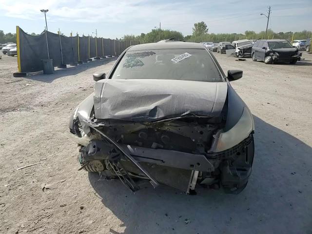 2009 Honda Accord Exl VIN: 1HGCP26899A198779 Lot: 81950495