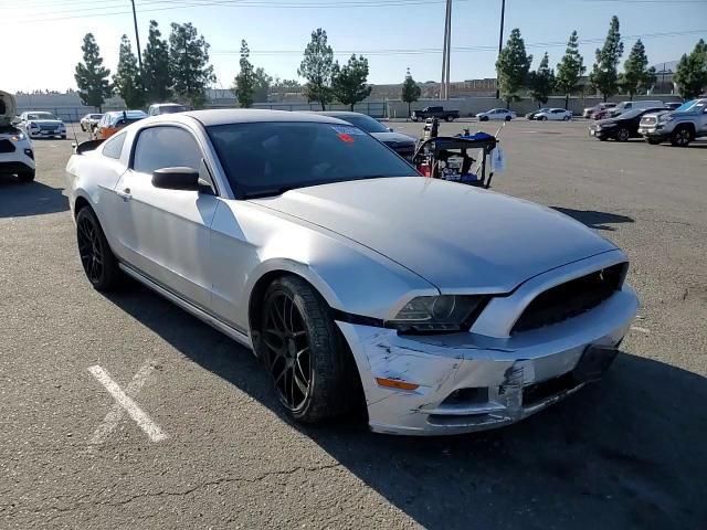 2013 Ford Mustang VIN: 1ZVBP8AMXD5282447 Lot: 90657605