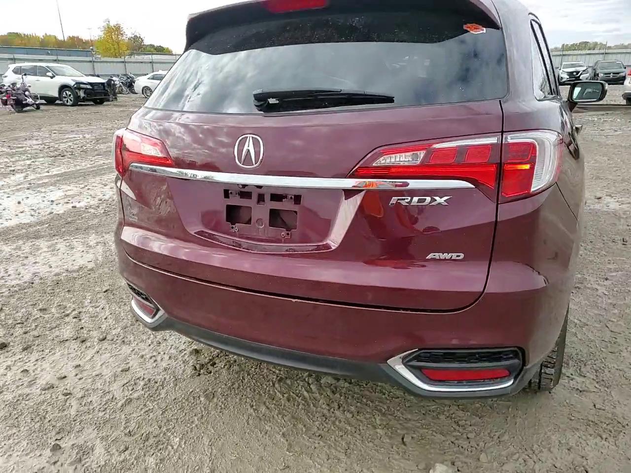 Фото: 5J8TB4H32HL010991