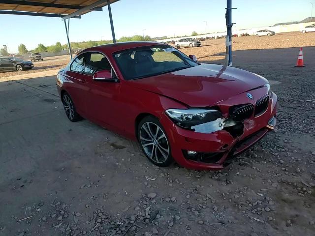 2016 BMW 228 Xi Sulev VIN: WBA1G9C56GV726189 Lot: 89690725