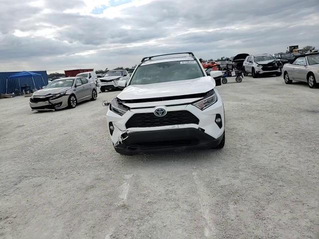 2020 Toyota Rav4 Xle VIN: JTMR6RFV3LD004103 Lot: 81336494