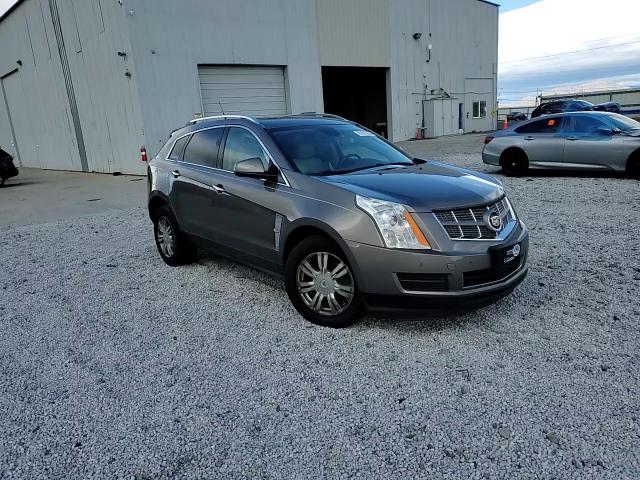 2011 Cadillac Srx Luxury Collection VIN: 3GYFNAEY3BS598672 Lot: 81615204