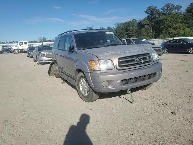 2002 Toyota Sequoia Limited VIN: 5TDBT48A02S128744 Lot: 80534384