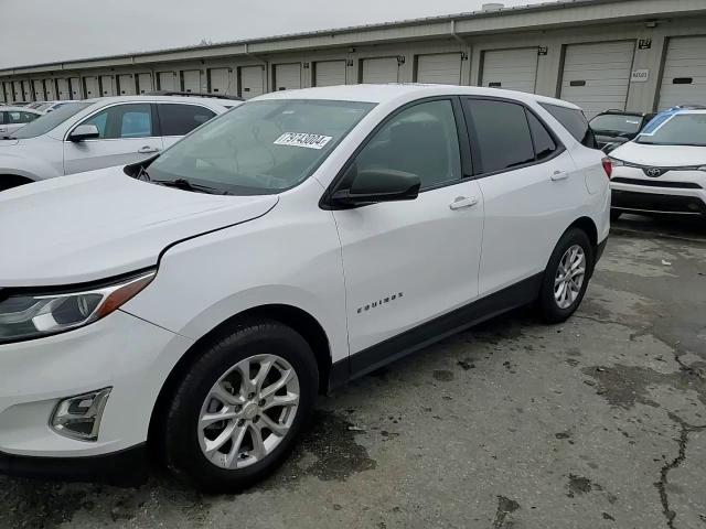 2019 Chevrolet Equinox Ls VIN: 3GNAXHEV6KL162070 Lot: 79743004