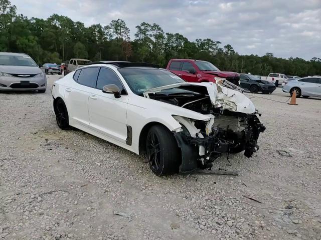 2020 Kia Stinger VIN: KNAE15LA9L6084399 Lot: 79514234