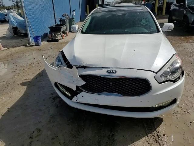 2015 Kia K900 VIN: KNALU4D4XF6026310 Lot: 79005234