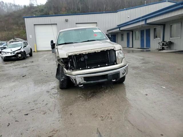 2010 Ford F-150 - Image 11