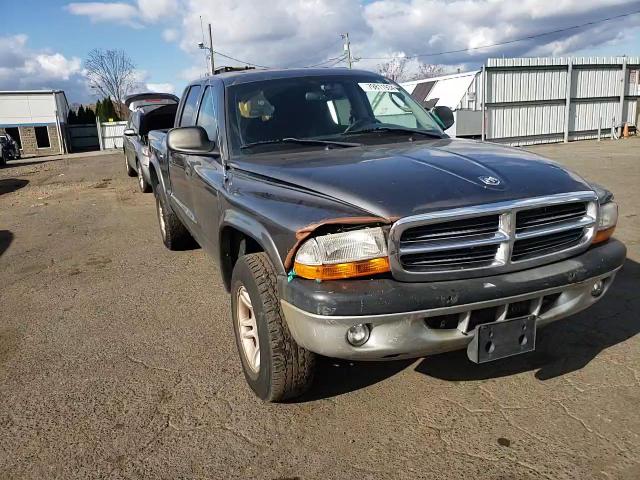 2004 Dodge Dakota Quad Sport VIN: 1D7HG38N64S688604 Lot: 79811934