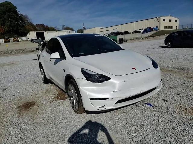 2023 Tesla Model Y VIN: 7SAYGDEE6PF782409 Lot: 81034674