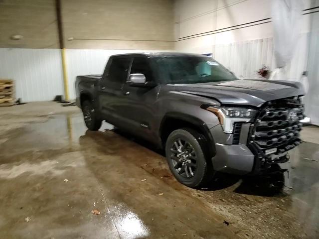 2022 Toyota Tundra Crewmax Platinum VIN: 5TFNA5DB0NX019500 Lot: 78663374