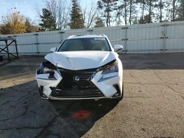 2019 Lexus Nx 300 Base VIN: JTJBARBZ5K2216470 Lot: 78803934