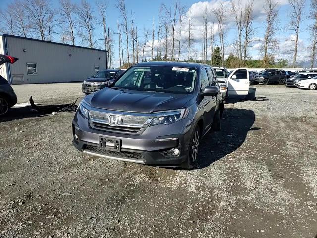 2019 Honda Pilot Exl VIN: 5FNYF6H43KB015415 Lot: 77808074