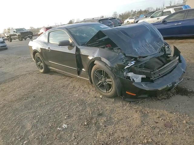 2011 Ford Mustang VIN: 1ZVBP8AM1B5124558 Lot: 79468964