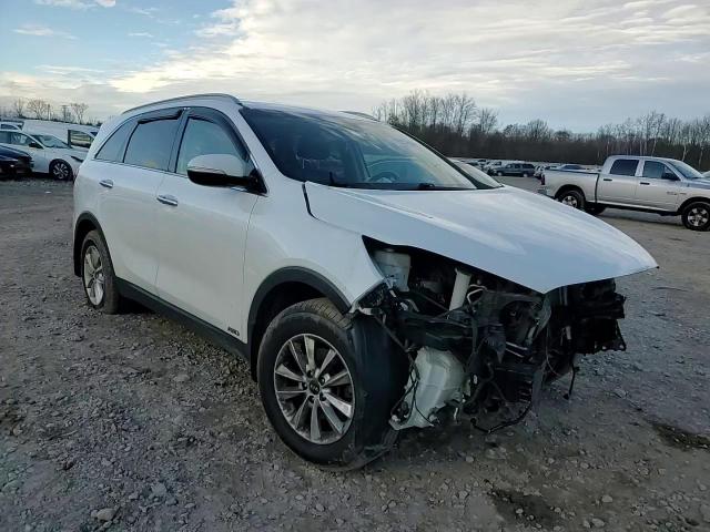 2019 Kia Sorento L VIN: 5XYPGDA36KG591197 Lot: 79857664